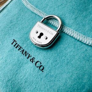Tiffany & Co. Arc Padlock in Silver